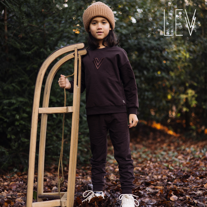 Levv Little W25